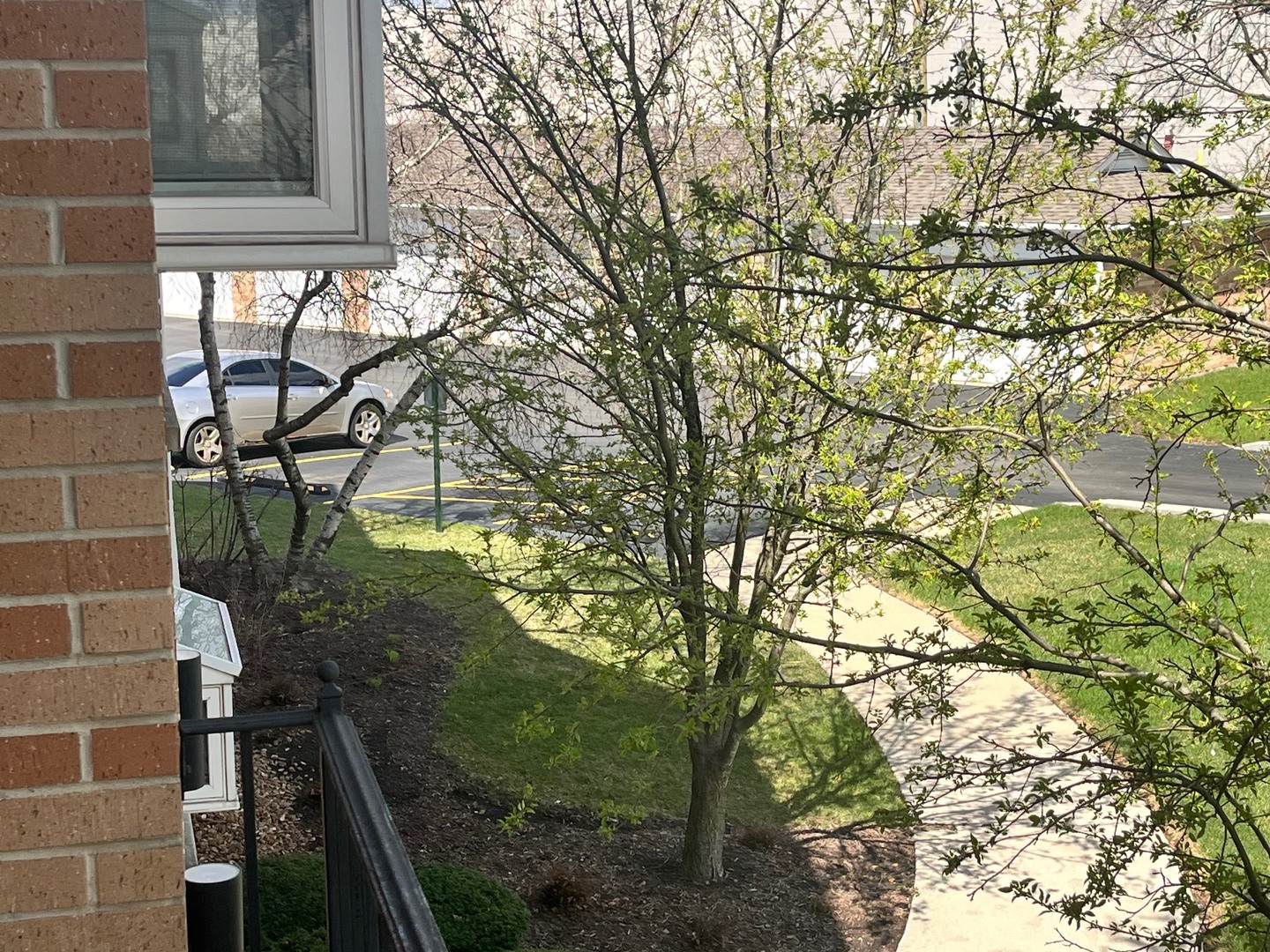 18320 Robin Lane, Unit D2 Homewood, IL 60430 - Photo 3 of 23