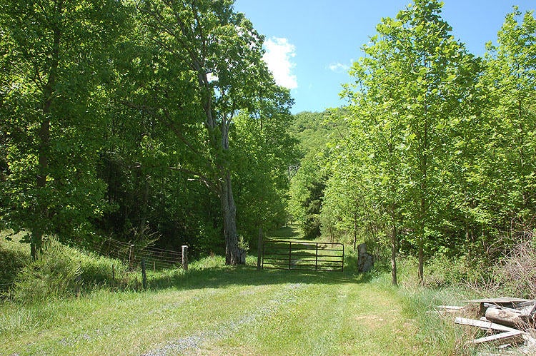 1541 Green Valley Road Peterstown, WV 24963 - Photo 2 of 30 Gallery Image 2