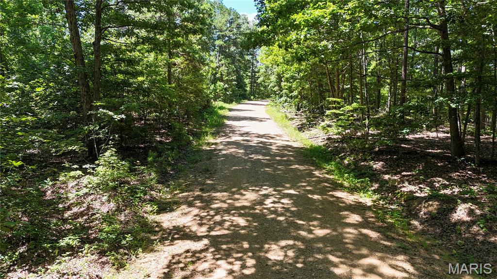 Tbd Tbd Antler Ridge Bunker, MO 63629 - Photo 20 of 26