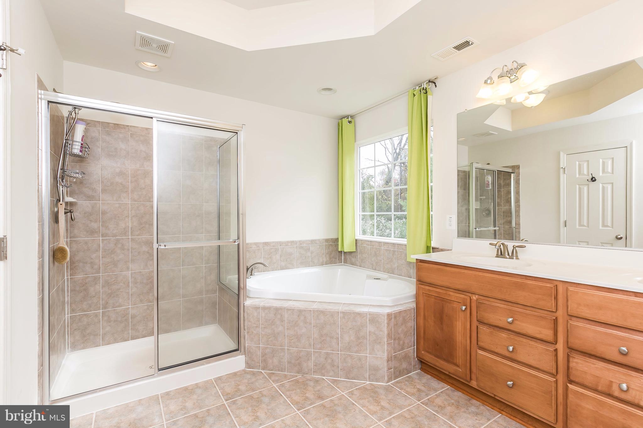 6907 Granite Ridge Court Baltimore, MD 21209 - Photo 19 of 27 Bath (Master)