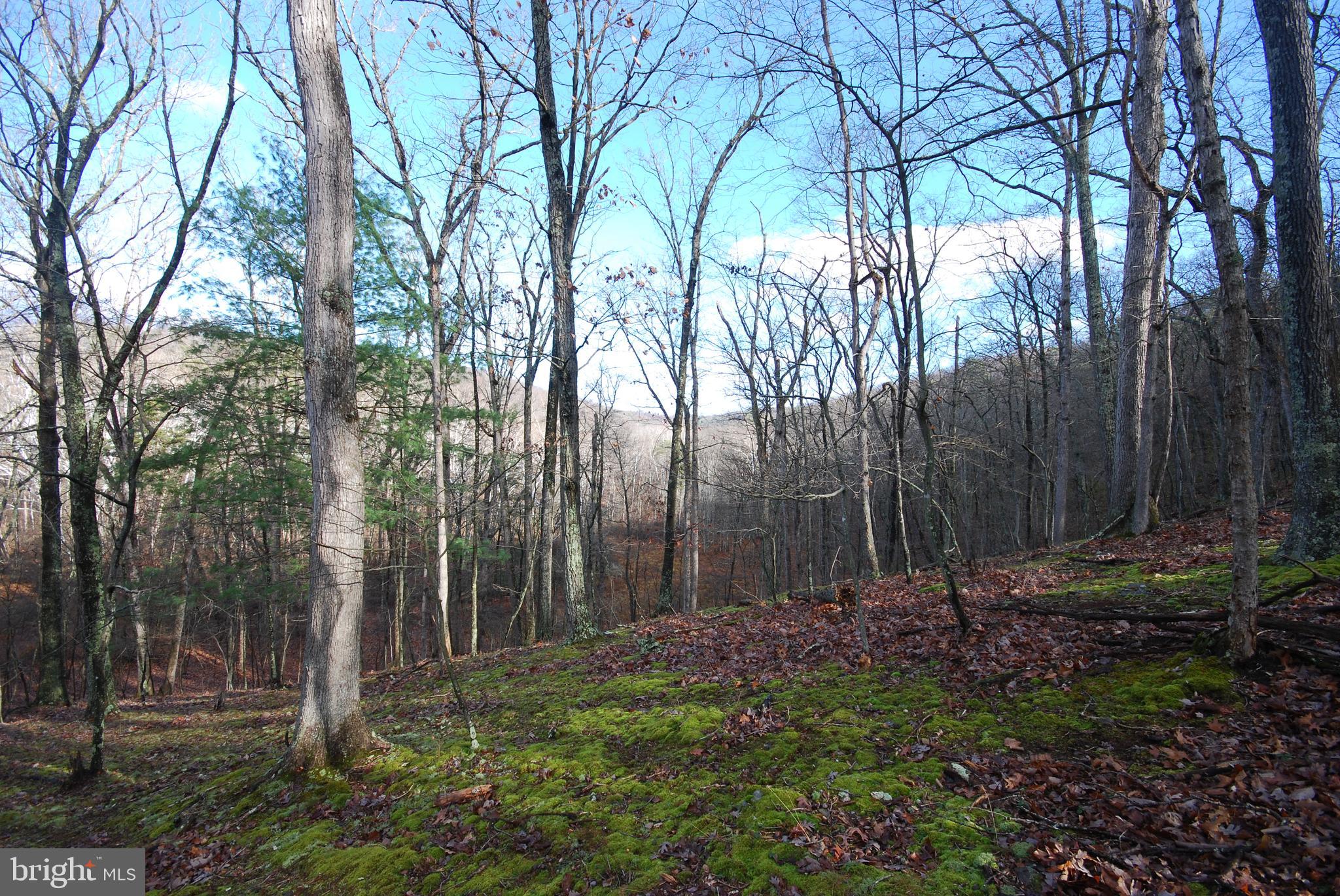 Lot 70-71 Mill Mountain Road Romney, WV 26757 - Photo 20 of 52