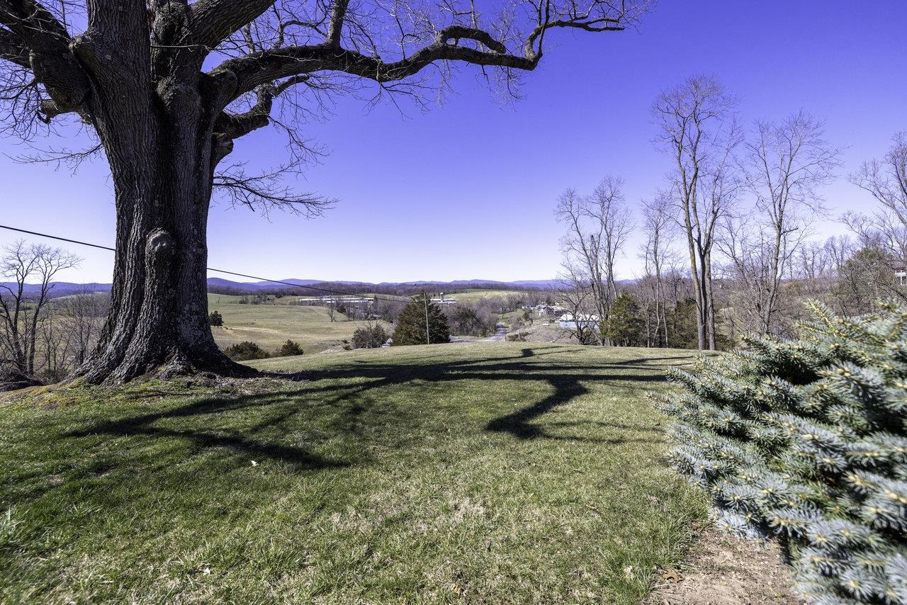 1709 Mt Solon Road Mount Solon, VA 22843 - Photo 55 of 75 a view of a backyard with lake view