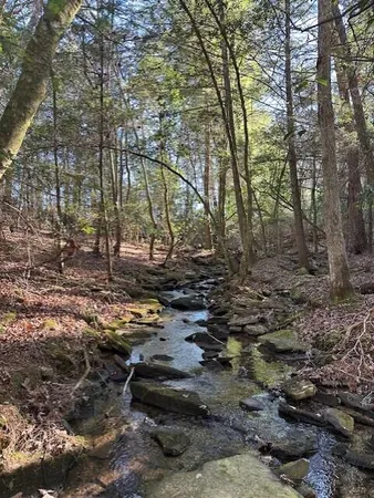 $80,000 | 6 50th Avenue, Unit TRACT 6, Gruetli Laager, TN 37339