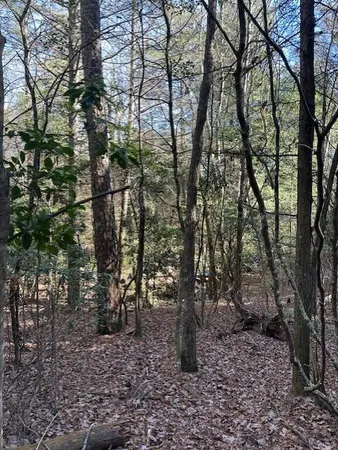 $80,000 | 6 50th Avenue, Unit TRACT 6, Gruetli Laager, TN 37339