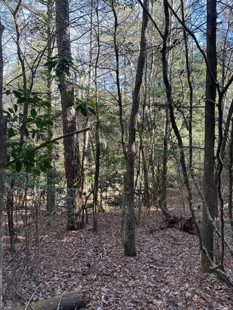 $80,000 | 6 50th Avenue, Unit TRACT 6, Gruetli Laager, TN 37339