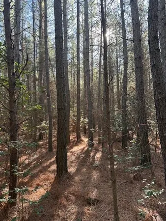 $80,000 | 6 50th Avenue, Unit TRACT 6, Gruetli Laager, TN 37339