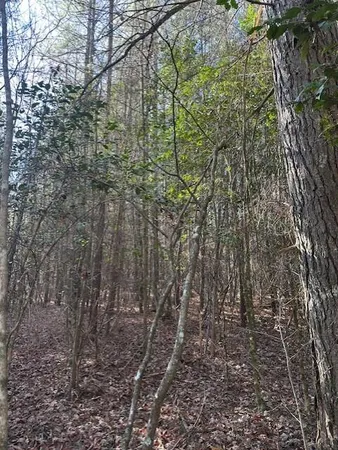$80,000 | 6 50th Avenue, Unit TRACT 6, Gruetli Laager, TN 37339