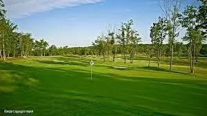 a view of a grassy field with trees