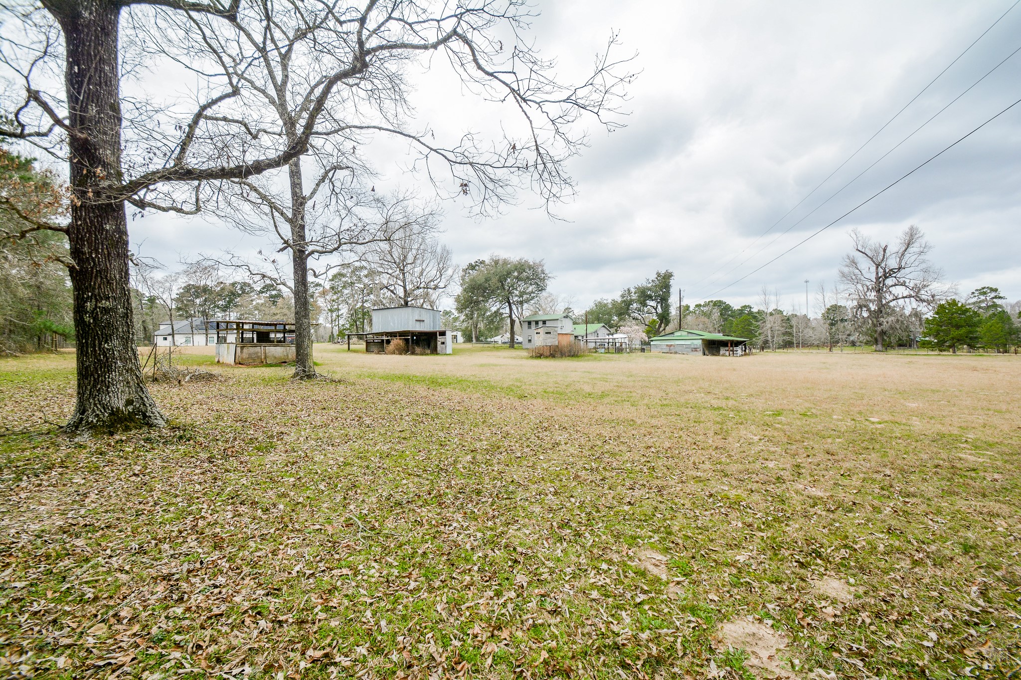 11119 Leonidas Horton Road Conroe, TX 77304 - Photo 30 of 32