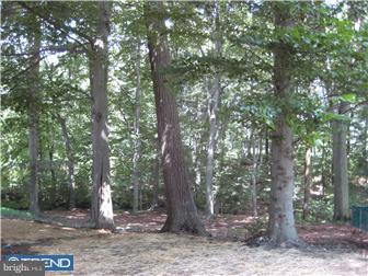 407 Buck Toe Road Avondale, PA 19311 - Photo 2 of 12