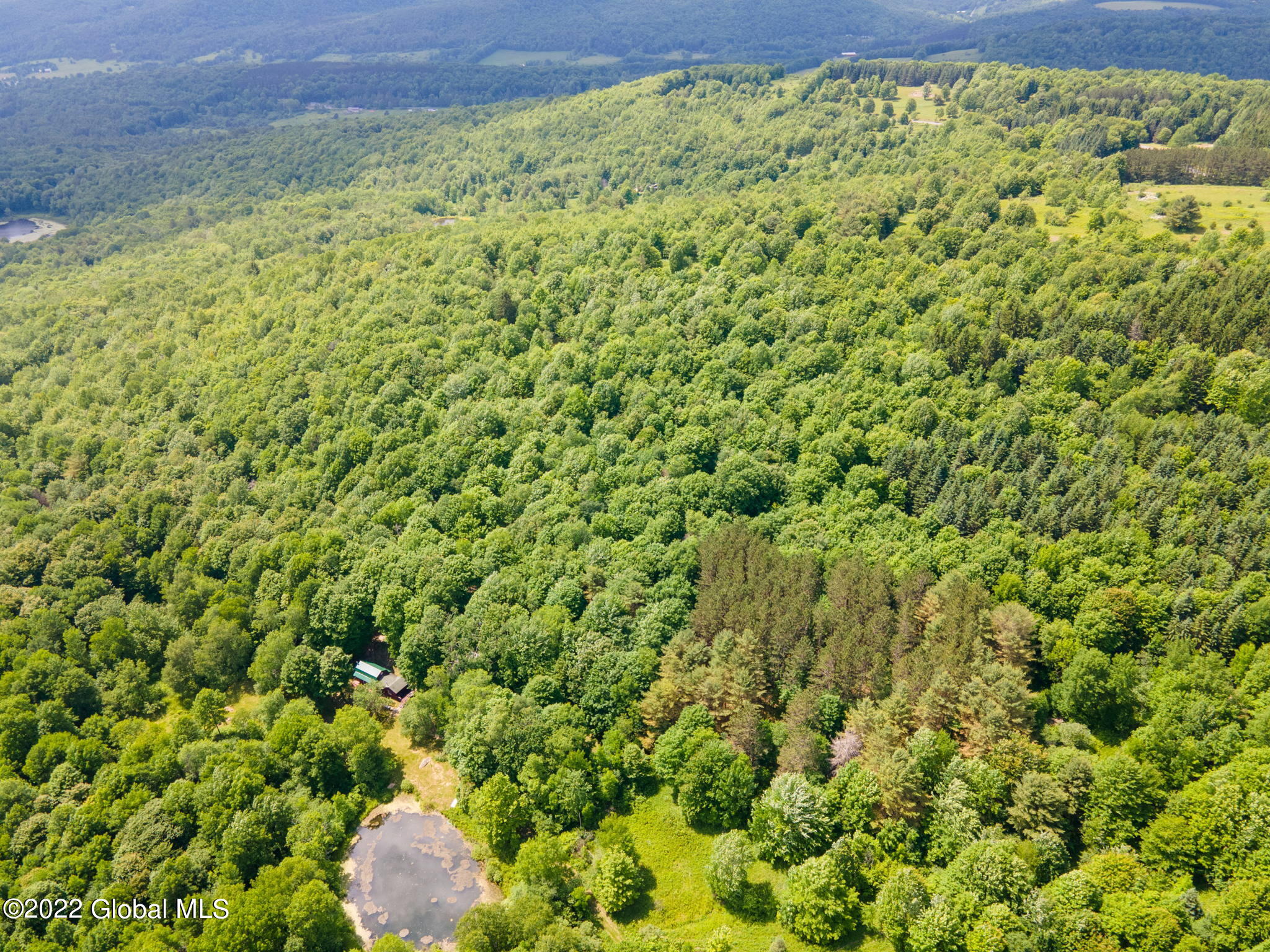 141 Dead End Rd Summit Jefferson, NY 12093 - Photo 30 of 39 11-web-or-mls-DeadEndRdLAND-11