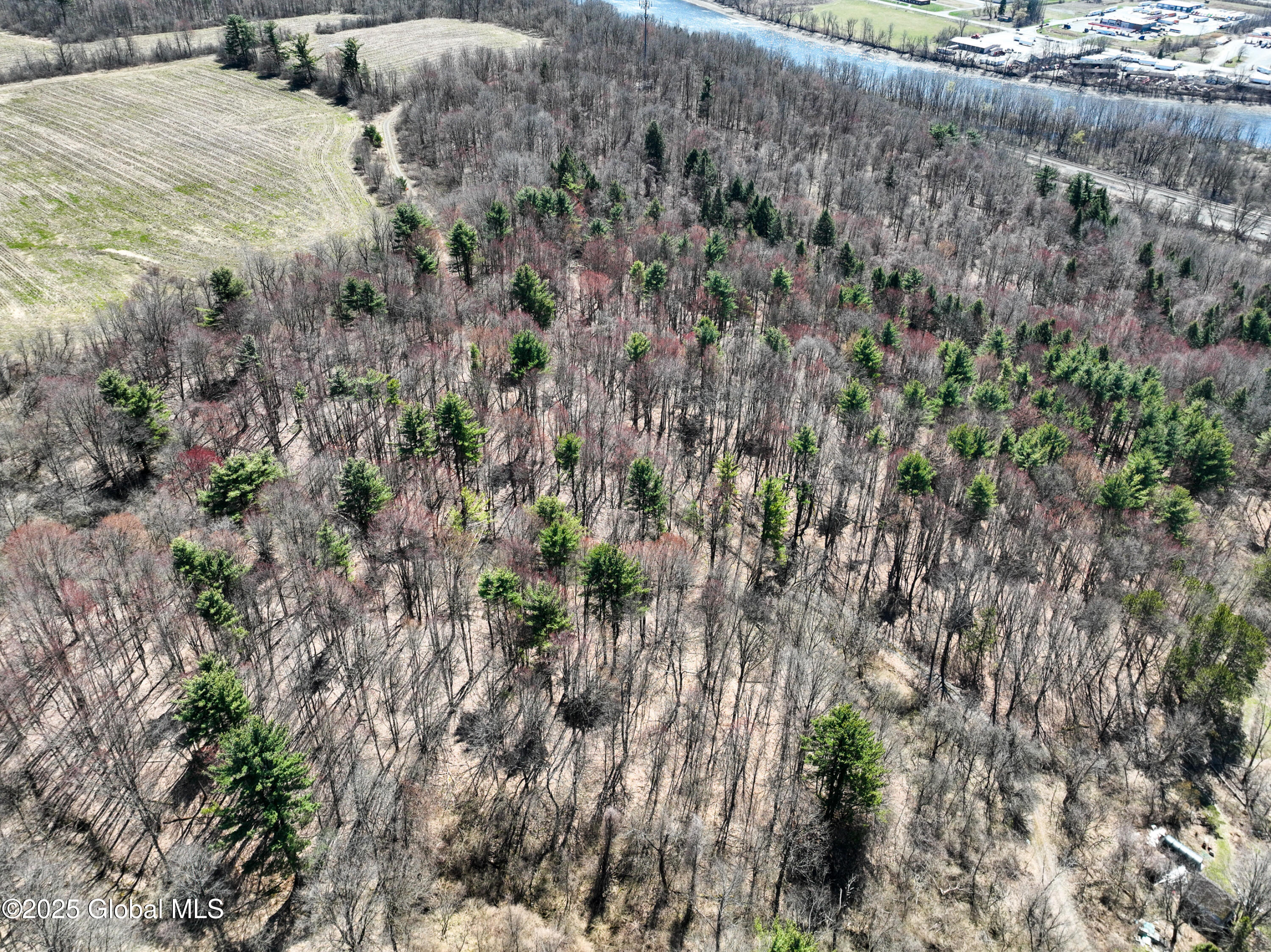 L24.2 Switzer Hill Road Johnstown, NY 12095 - Photo 14 of 39 011-Switzer-Hill-Road