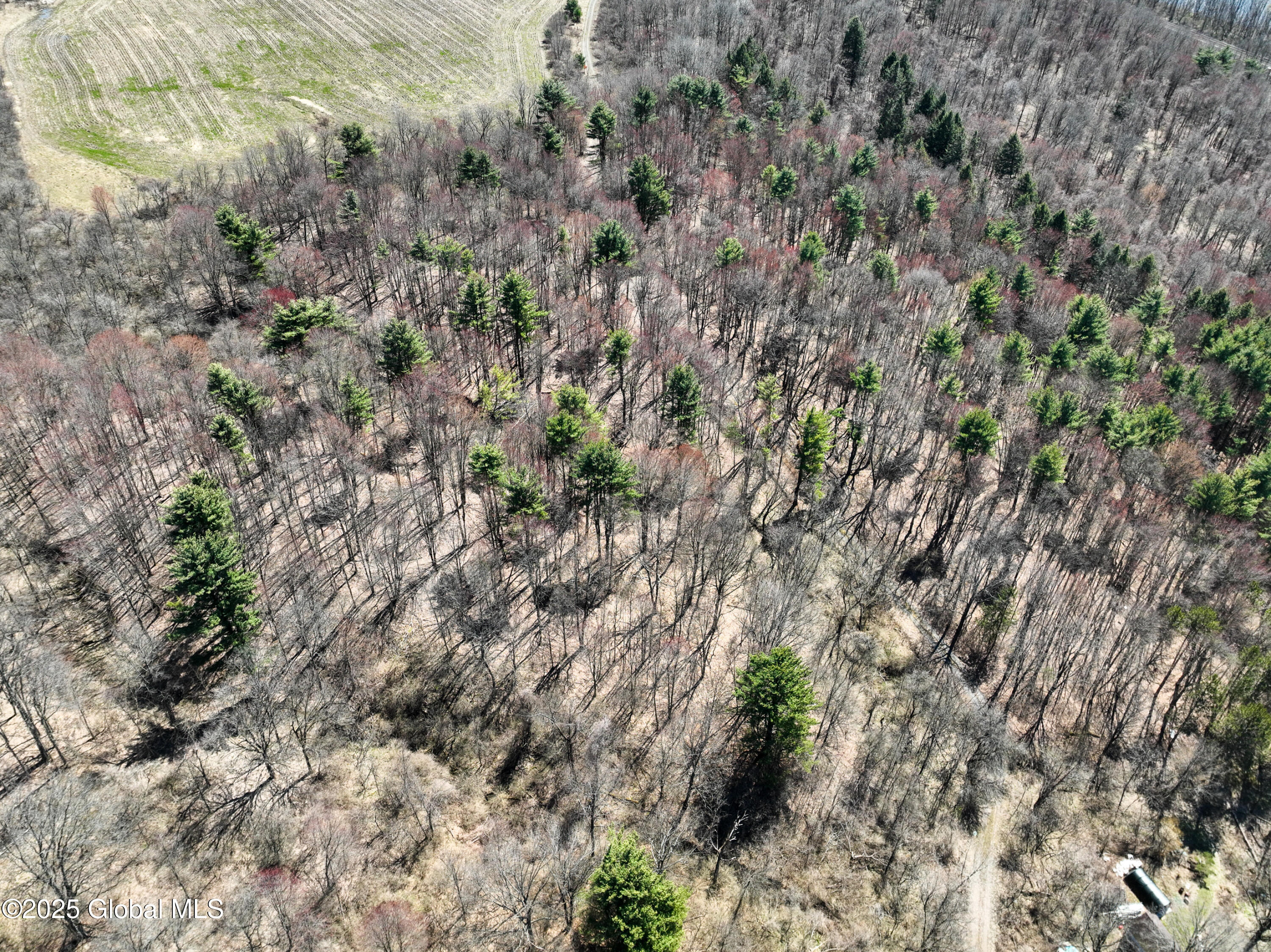 L24.2 Switzer Hill Road Johnstown, NY 12095 - Photo 15 of 39 012-Switzer-Hill-Road