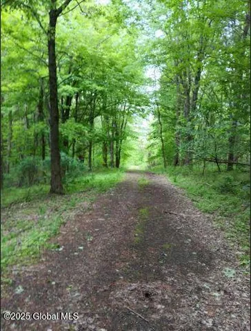 $189,000 | L24.2 Switzer Hill Road, Johnstown, NY 12095
