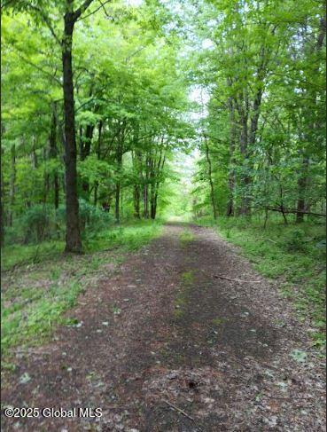 L24.2 Switzer Hill Road Johnstown, NY 12095 - Photo 2 of 39 switzer new