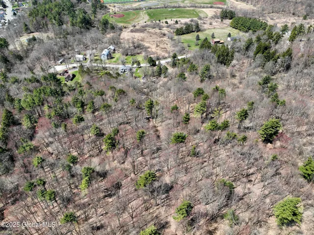 $189,000 | L24.2 Switzer Hill Road, Johnstown, NY 12095