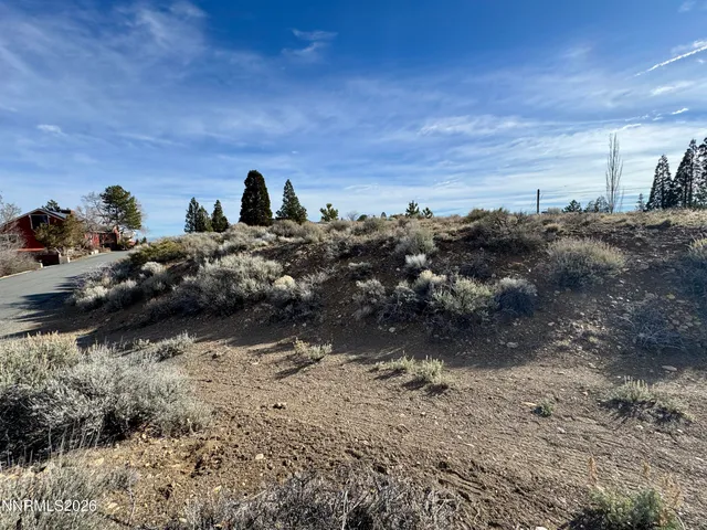 $250,000 | 2070 La Fond Drive, Reno, NV 89509