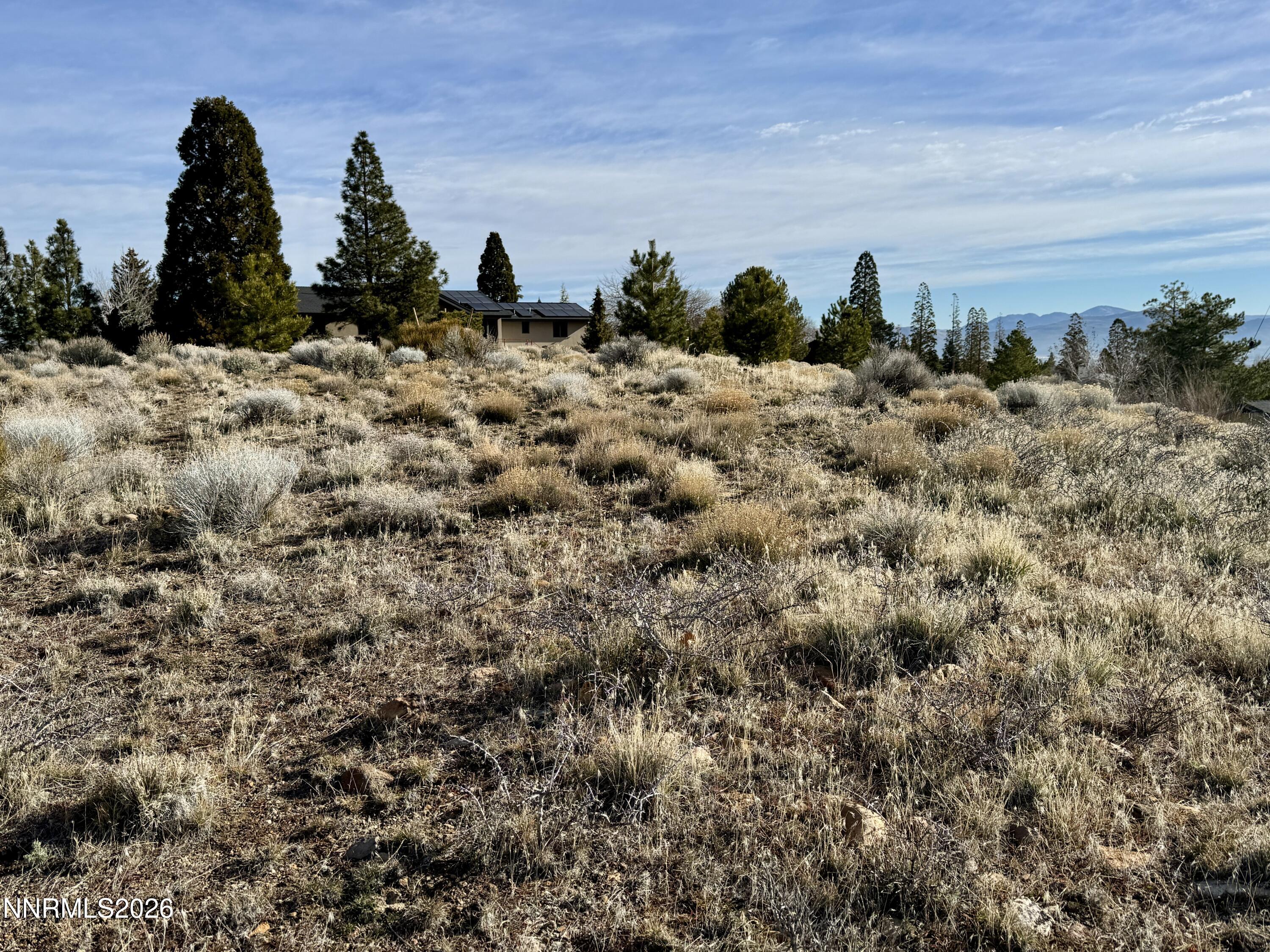 2070 La Fond Drive Reno, NV 89509 - Photo 8 of 11 IMG_9671