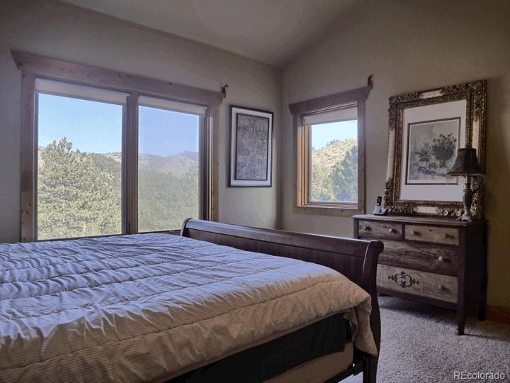 15365 Swiss Road Pine, CO 80470 - Photo 20 of 29 Gallery Image 20