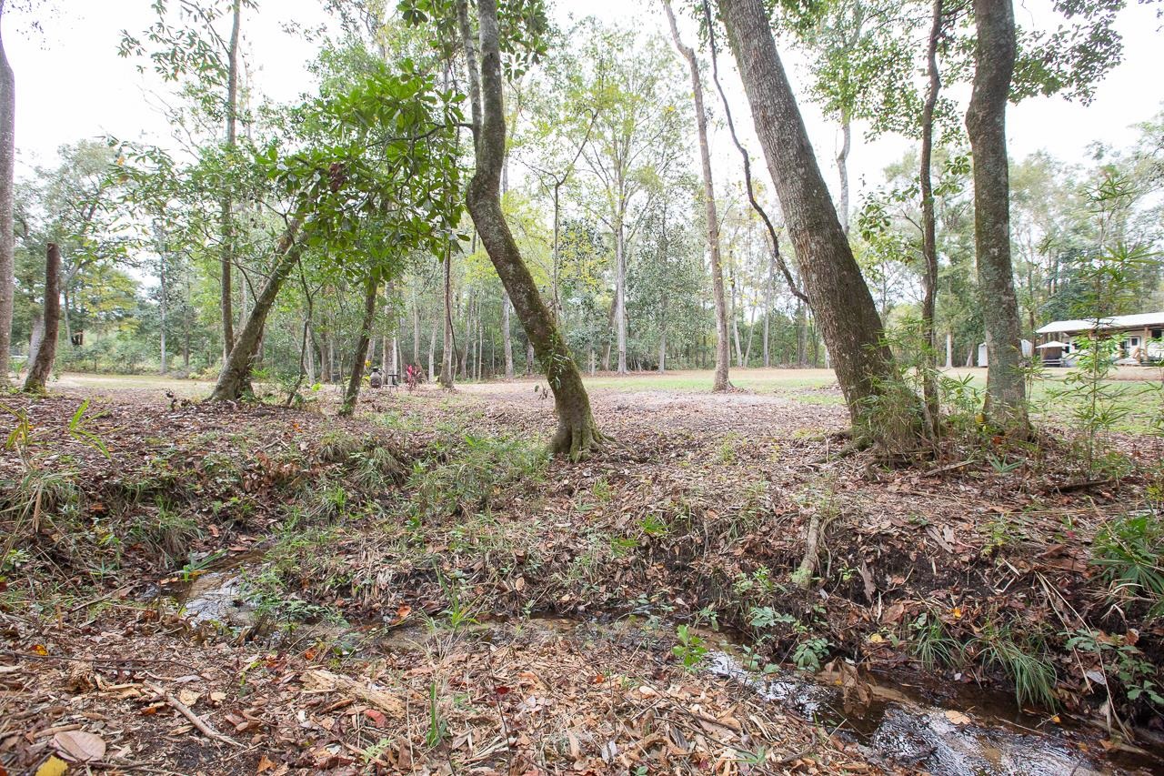 1060 Vista Road Monticello, FL 32344 - Photo 12 of 21 Gallery Image 12