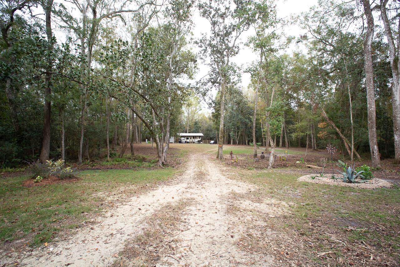 1060 Vista Road Monticello, FL 32344 - Photo 21 of 21 Gallery Image 21