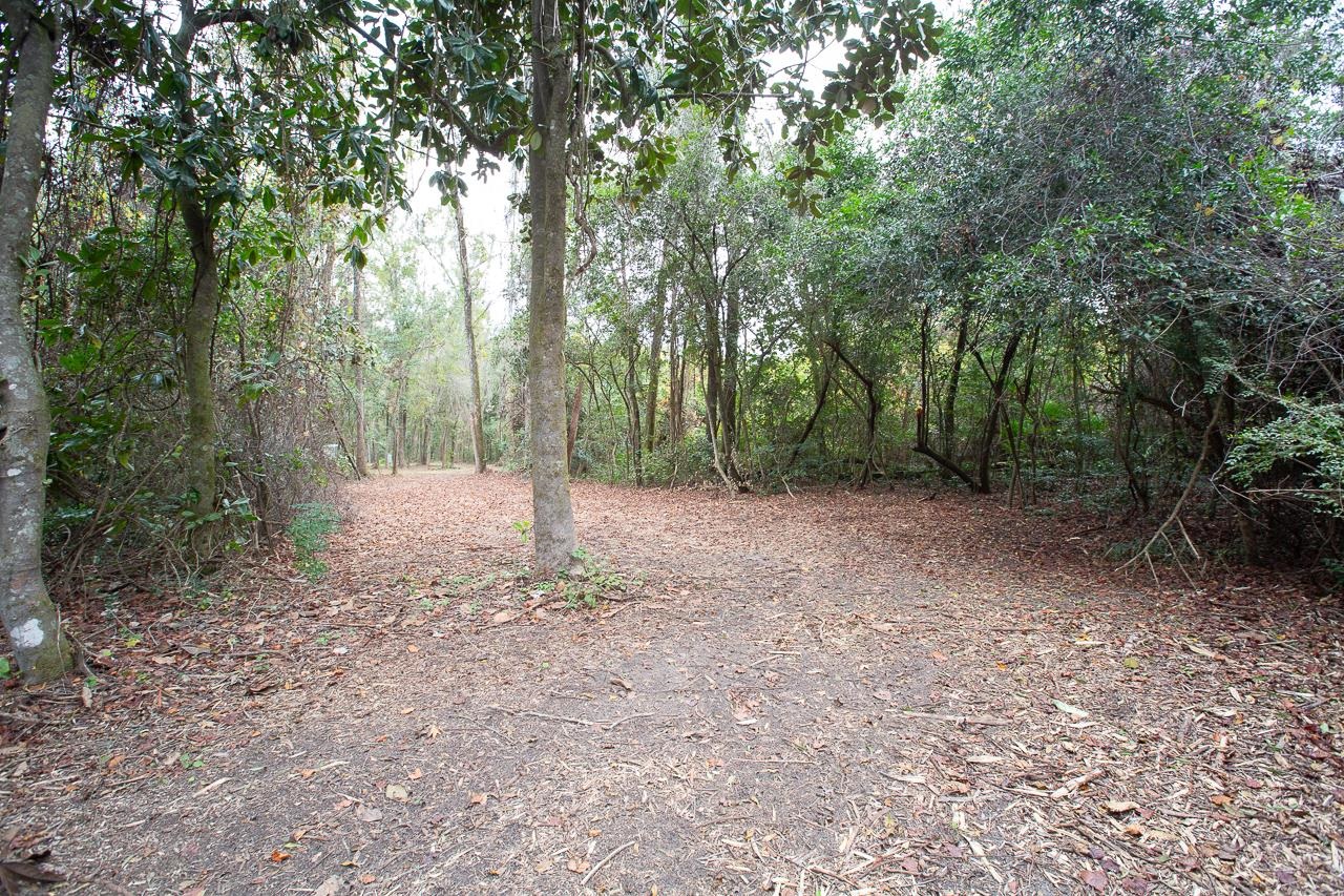 1060 Vista Road Monticello, FL 32344 - Photo 3 of 21 Gallery Image 3