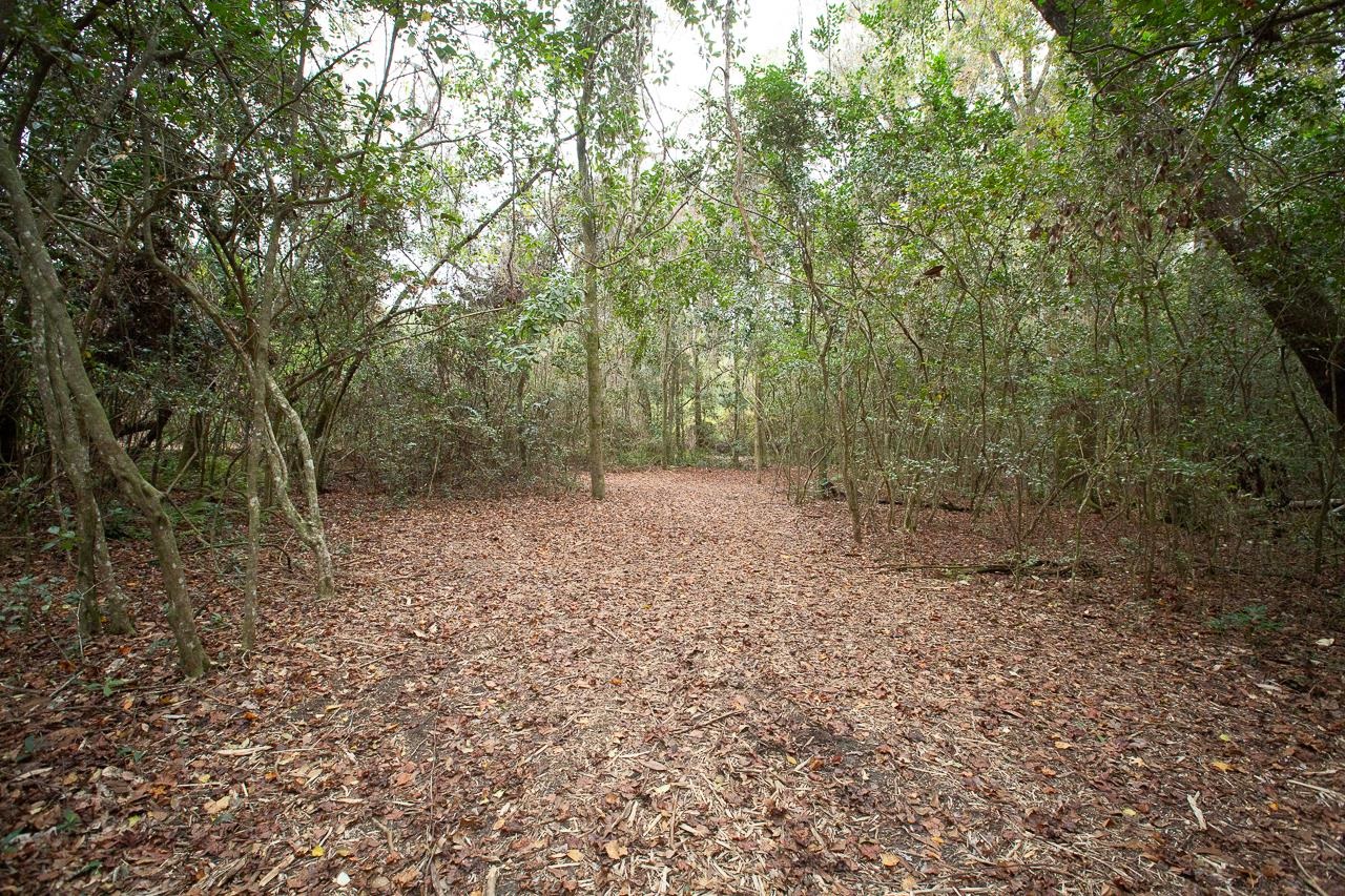 1060 Vista Road Monticello, FL 32344 - Photo 4 of 21 Gallery Image 4