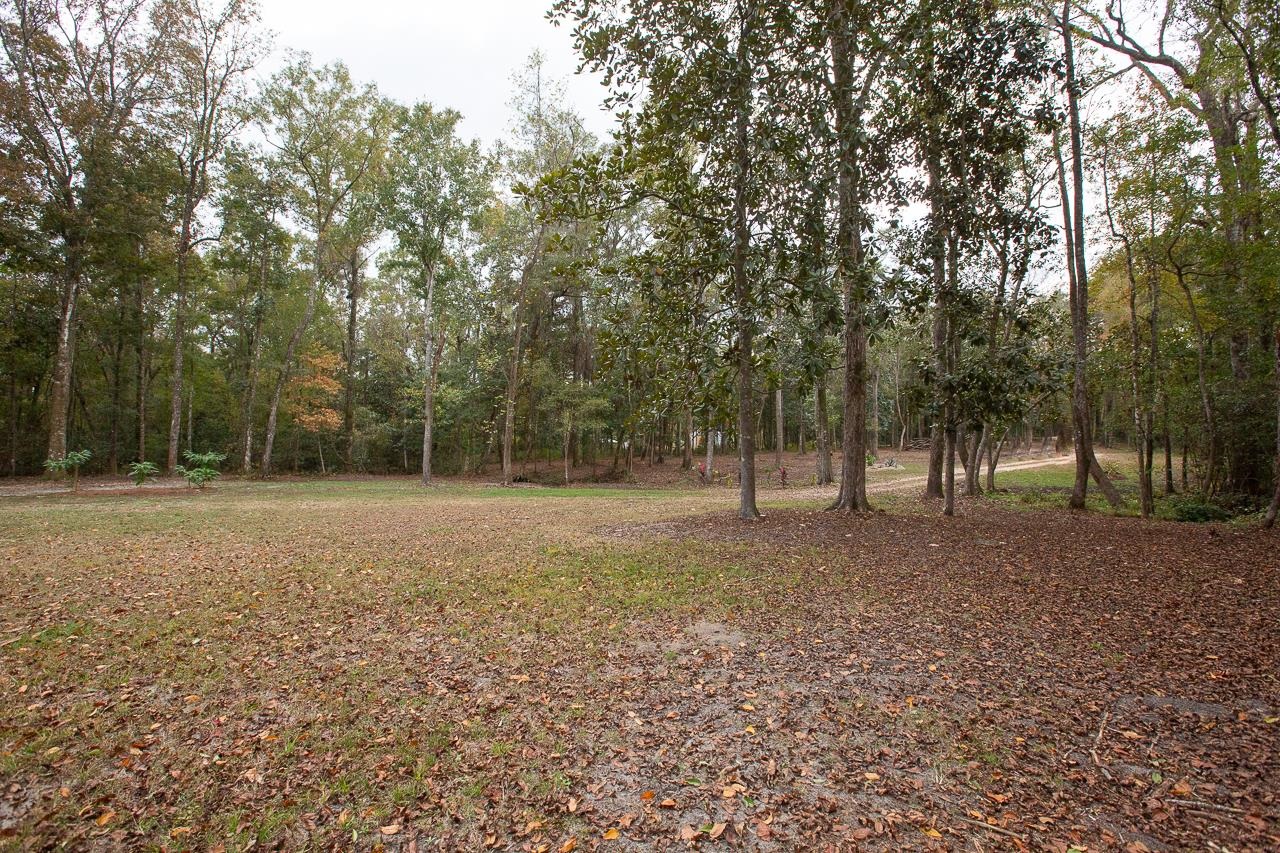 1060 Vista Road Monticello, FL 32344 - Photo 5 of 21 Gallery Image 5