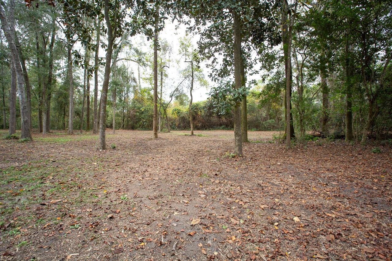 1060 Vista Road Monticello, FL 32344 - Photo 6 of 21 Gallery Image 6