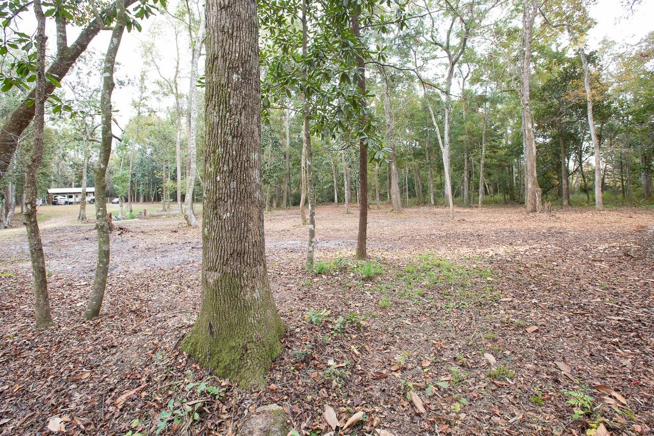 1060 Vista Road Monticello, FL 32344 - Photo 8 of 21 Gallery Image 8