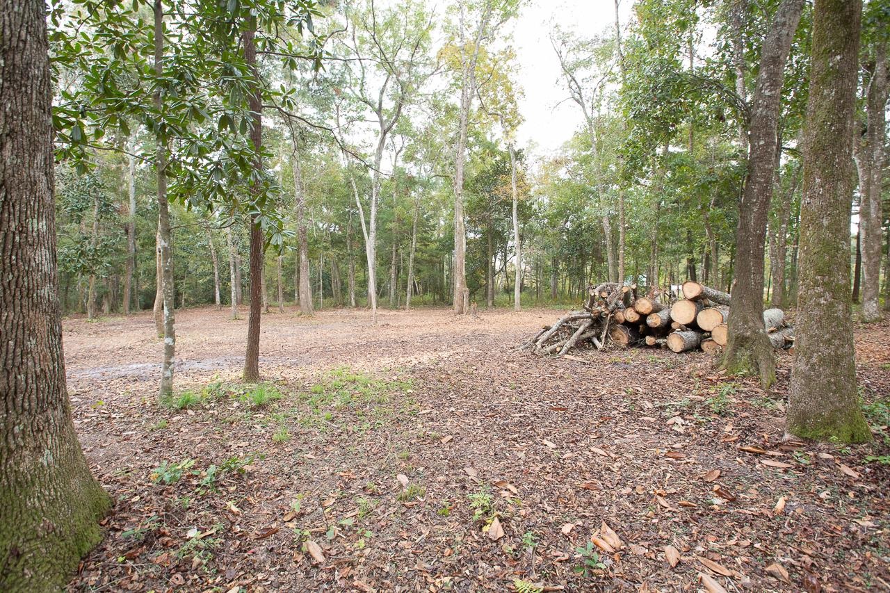 1060 Vista Road Monticello, FL 32344 - Photo 9 of 21 Gallery Image 9