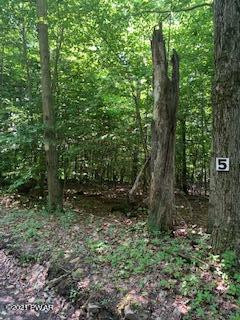 Lot 5-101 Nevin Road Newfoundland, PA 18445 - Photo 1 of 1