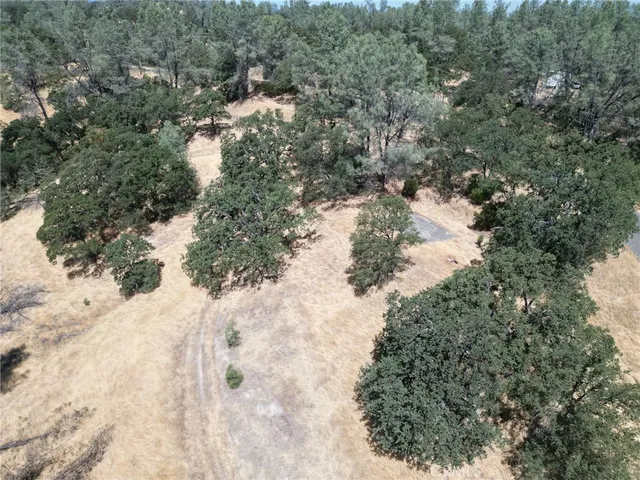 a view of a yard with a tree