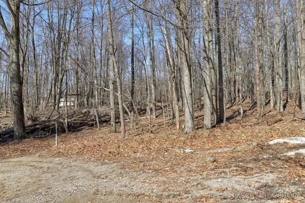$3,500 | 11270 Apache Wells Court, Canadian Lakes, MI 49346
