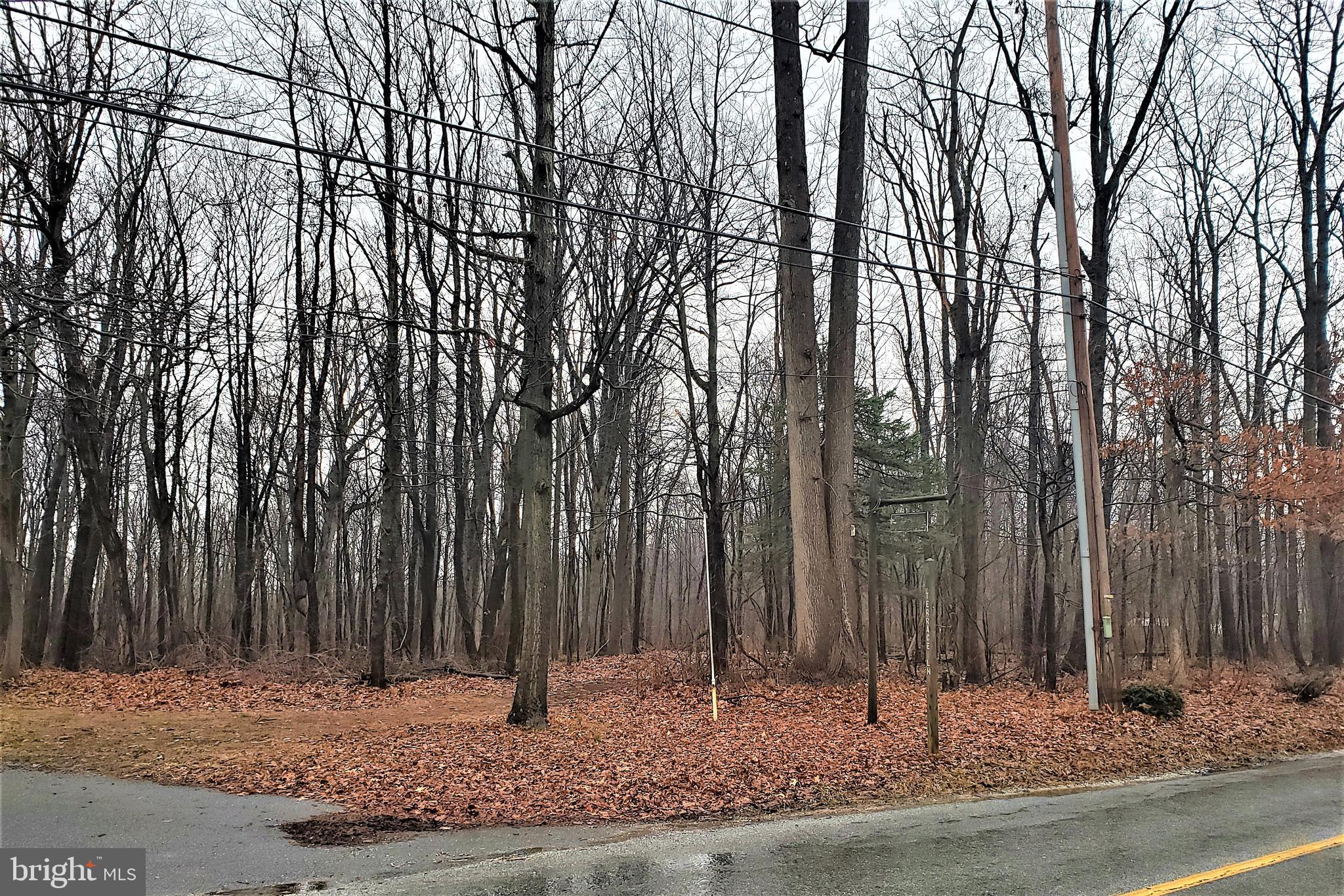 0 Cambridge Road Coatesville, PA 19320 - Photo 1 of 3 a view of a yard with large trees
