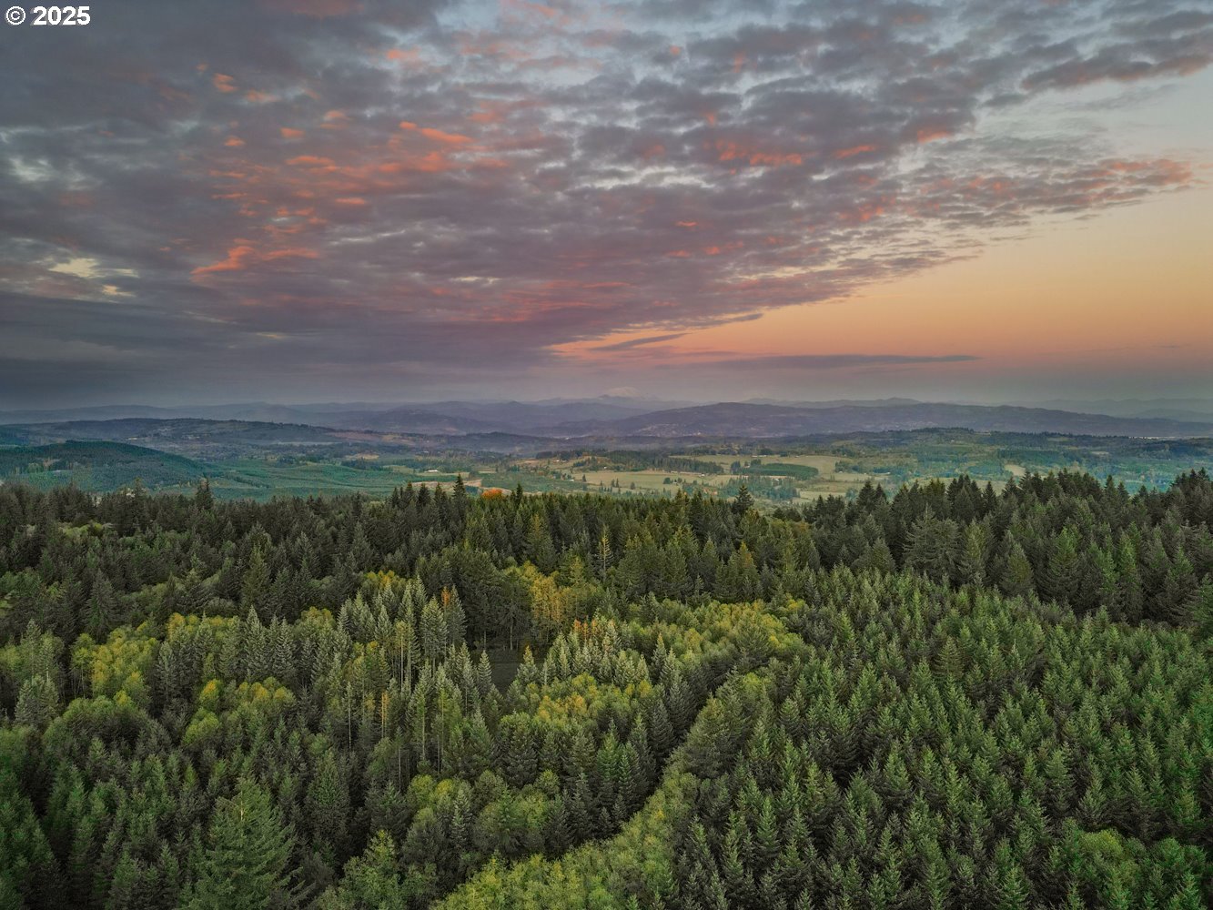 67391 Hollywood Road Deer Island, OR 97054 - Photo 36 of 48