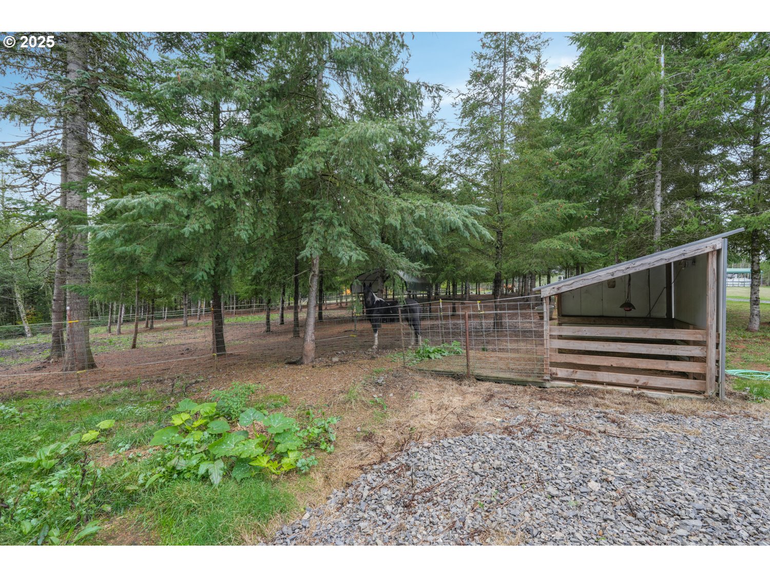 67391 Hollywood Road Deer Island, OR 97054 - Photo 9 of 48