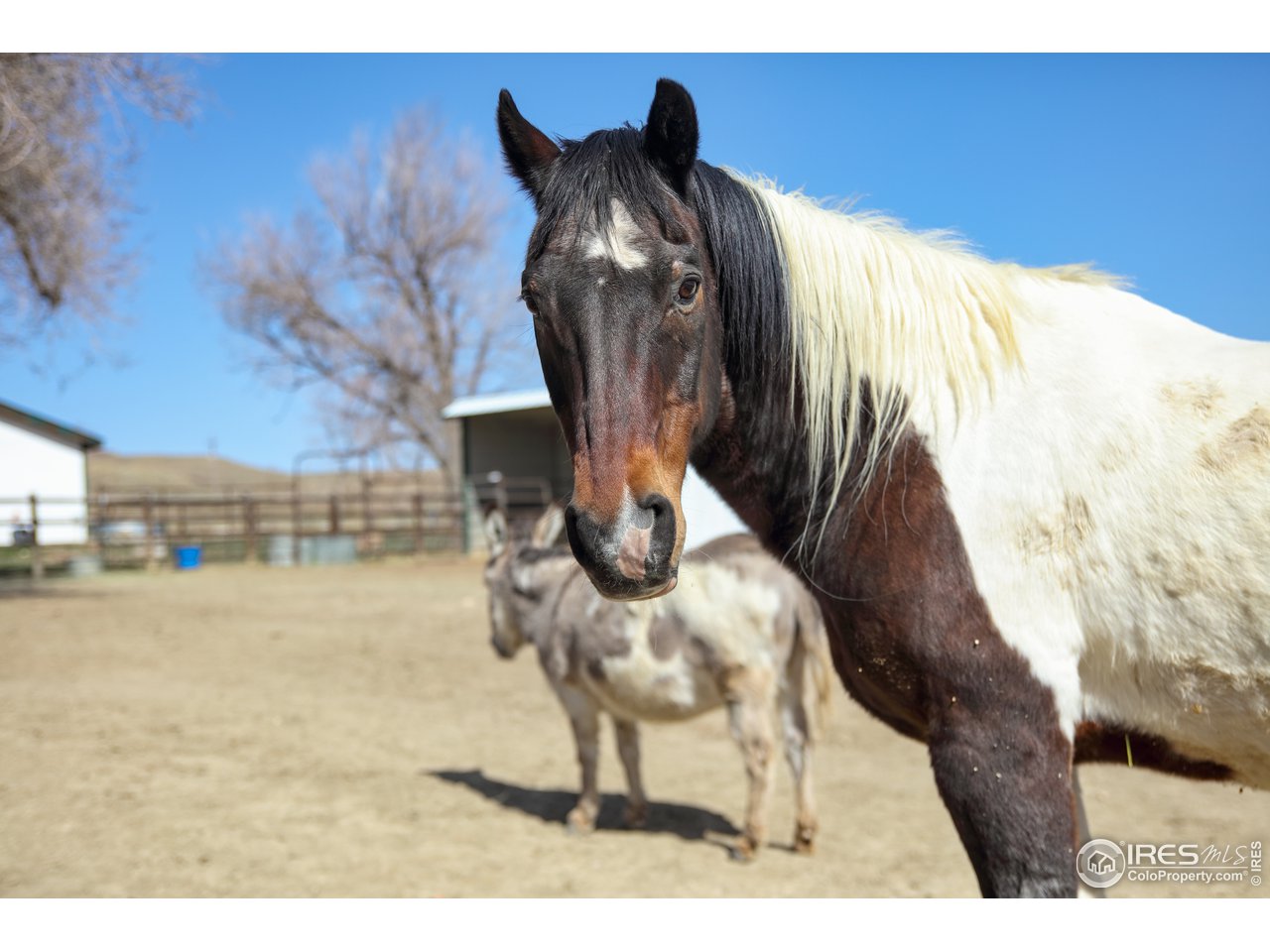 5629 Prospect Road Niwot, CO 80503 - Photo 34 of 40