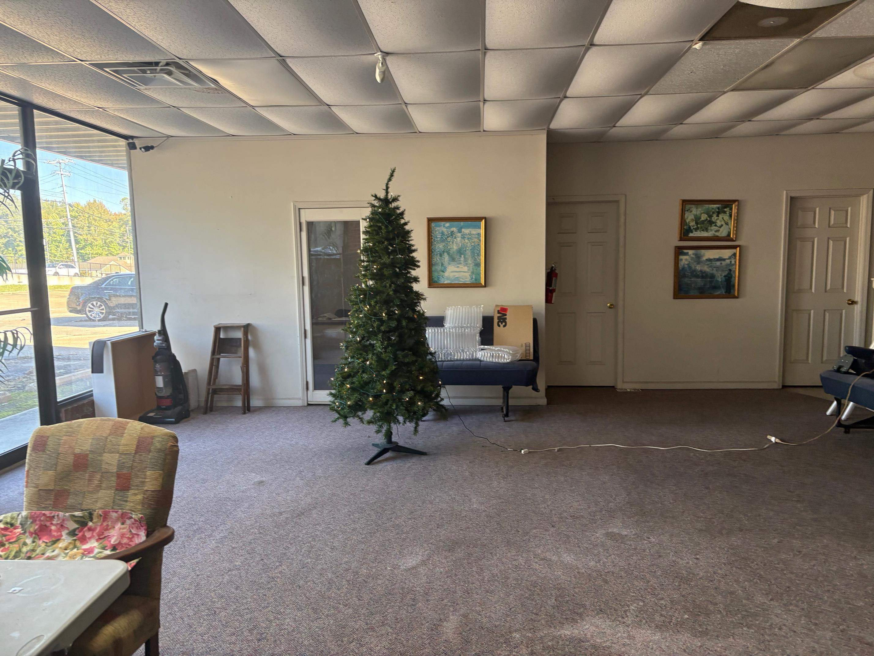 334 Washington Street Ripley, TN 38063 - Photo 10 of 12 a living room with furniture and a potted plant