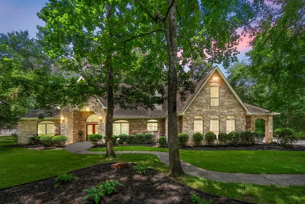 a view of a trees with a backyard