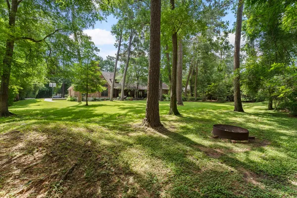 a view of a trees with a backyard