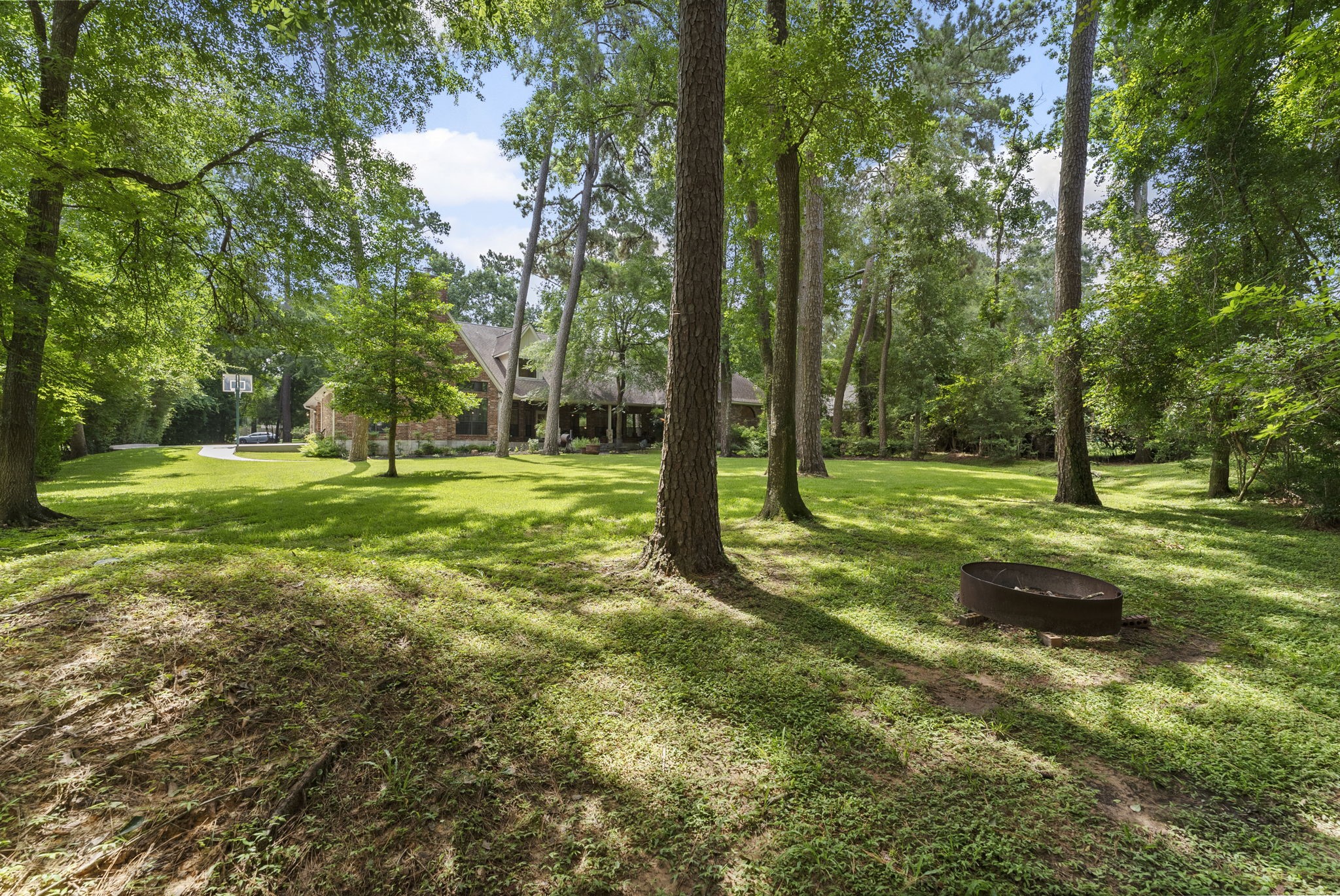 24311 Standing Oak Drive Spring, TX 77389 - Photo 3 of 41 a view of a trees with a backyard