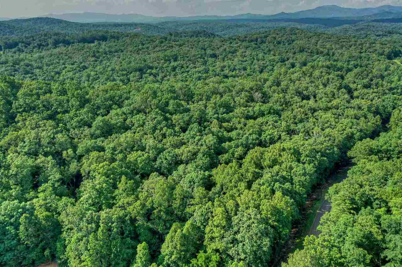 0 Dills Road, Unit 23 / Blue Ridge, GA 30513 - Photo 1 of 1 a view of a green field with lots of bushes
