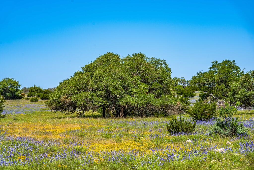 0 Morris Ranch Road Rocksprings, TX 78880 - Photo 30 of 40 Gallery Image 30