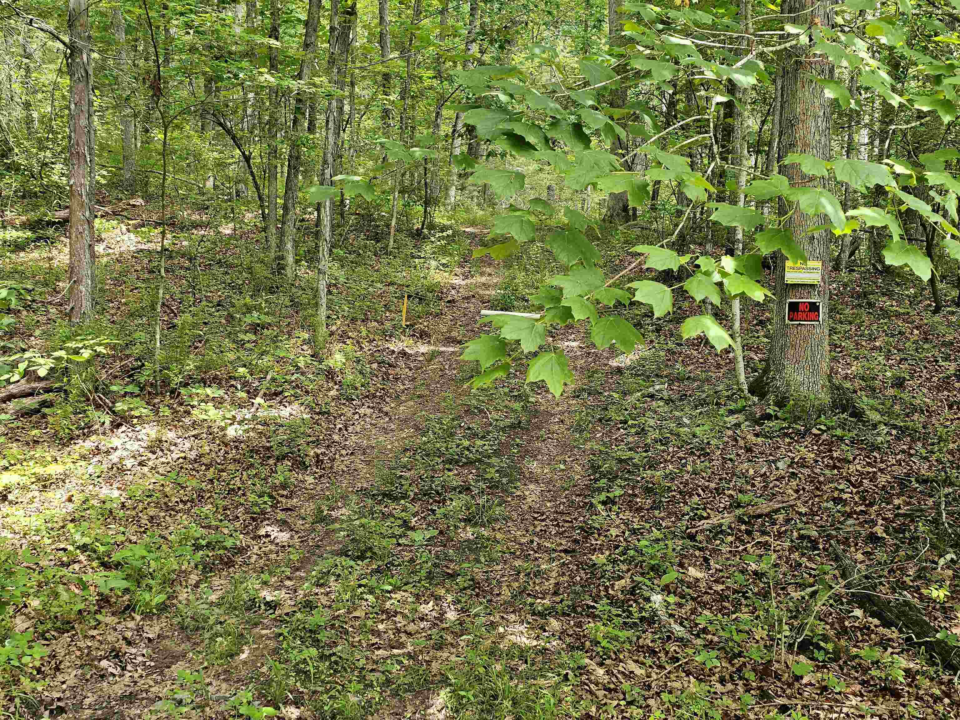 2105 Coles Mountain Road Covington, VA 24426 - Photo 56 of 66 Bath County side