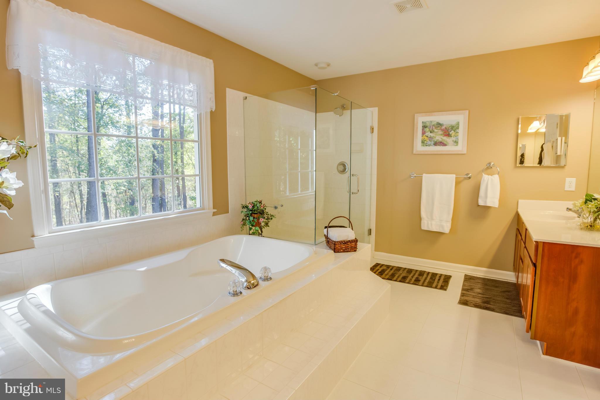 22 Beaver Ridge Road Stafford, VA 22556 - Photo 11 of 29 Bath (Master)