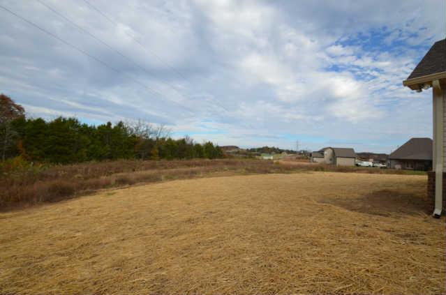 606 Legends View, Unit 55 Lebanon, TN 37090 - Photo 14 of 14 Amazing Backyard!!!