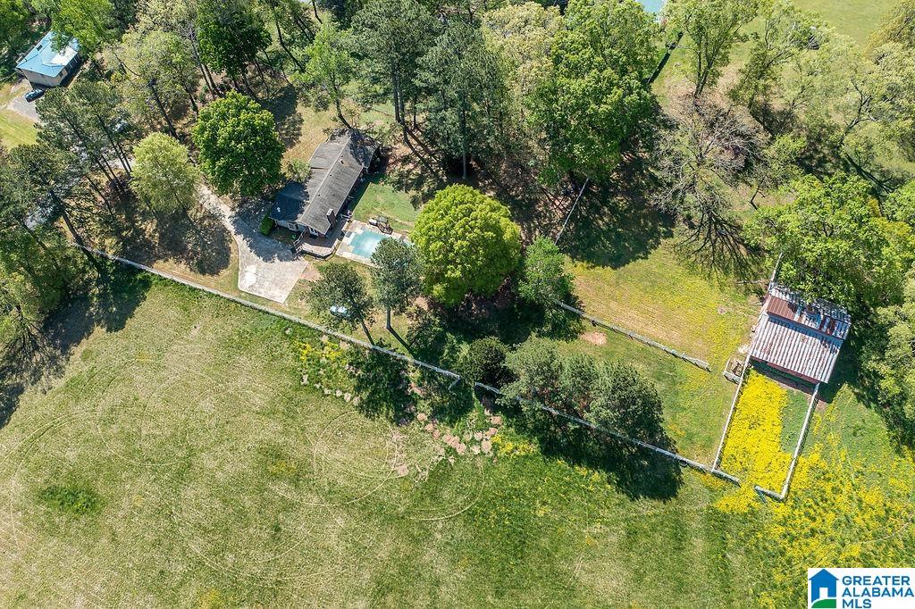 102 Burgess Drive Springville, AL 35146 - Photo 35 of 46