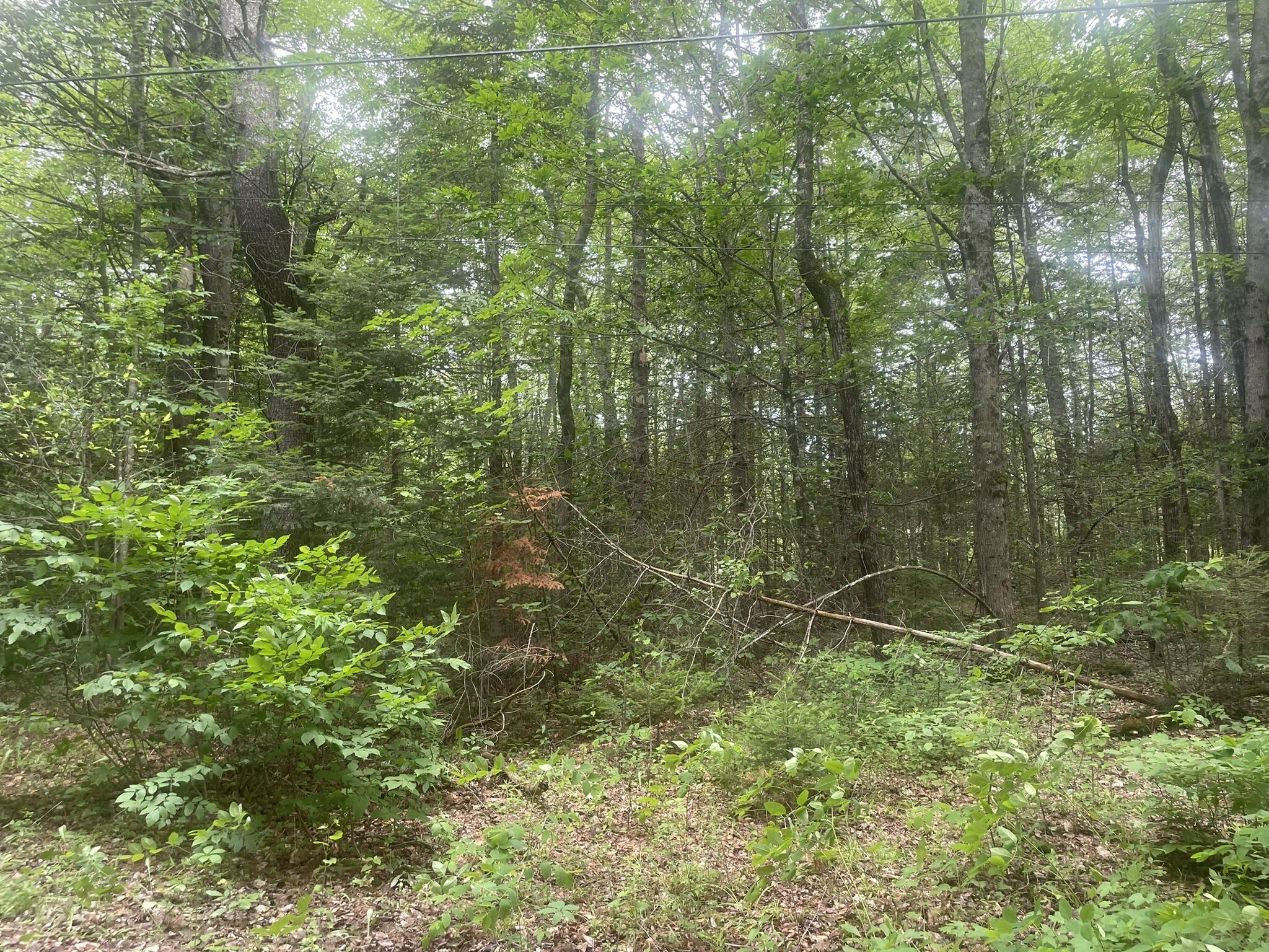 1075 Hill Road Clinton, ME 04927 - Photo 88 of 172 IMG_6186