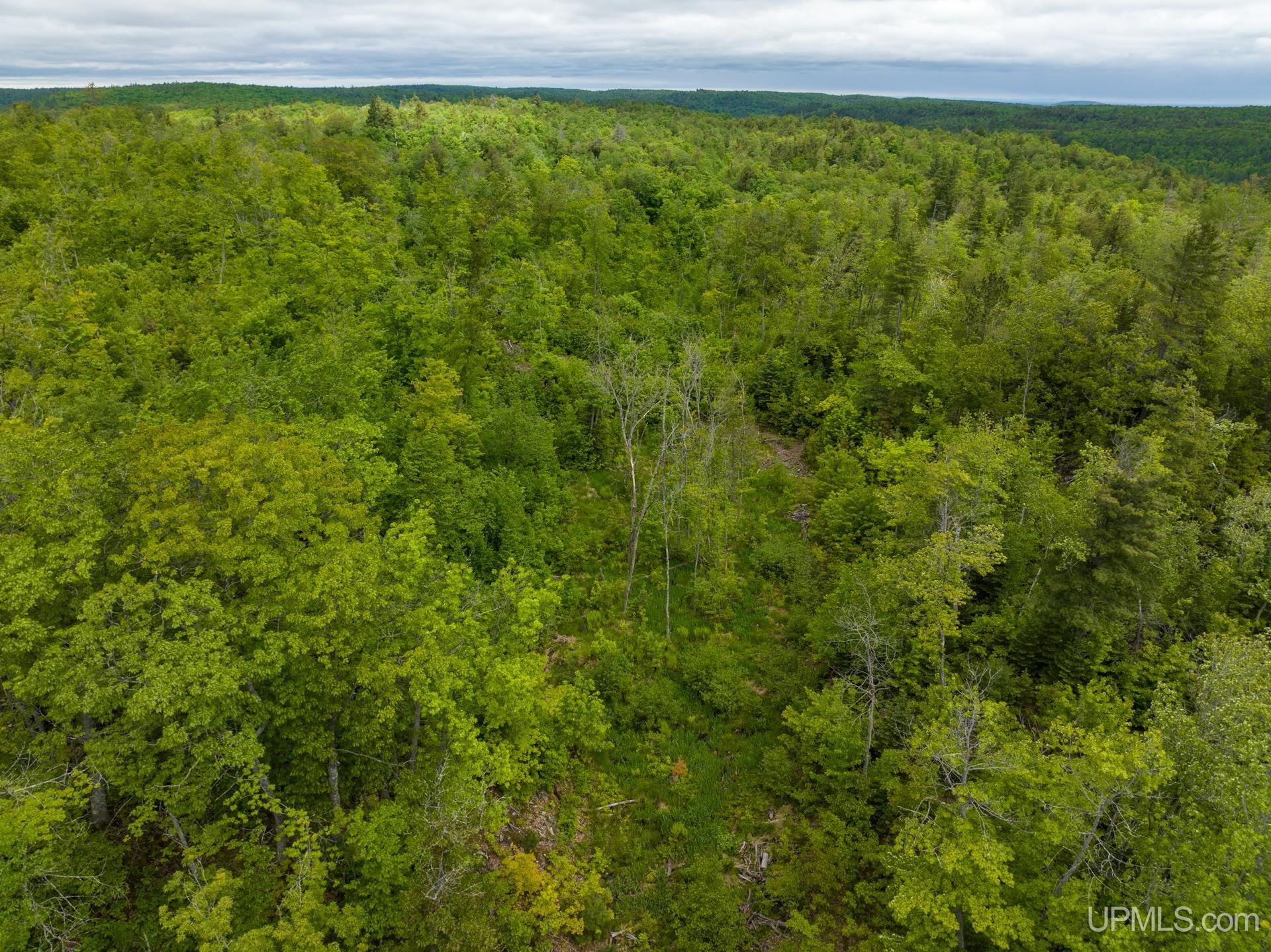 Tbd Tbd Co Road Negaunee, MI 49866 - Photo 20 of 47